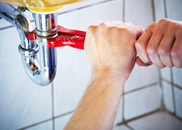 About Waddell Plumbers